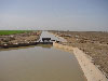 Irrigation Canal in Khozestan Province